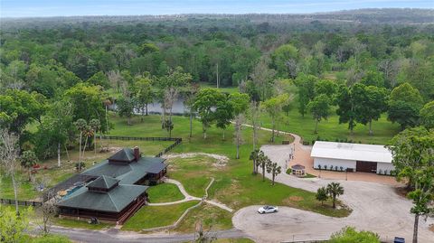 Tiny photo for 13910 Corkwood Lane, Astatula, FL 34705 (MLS # O6393542)