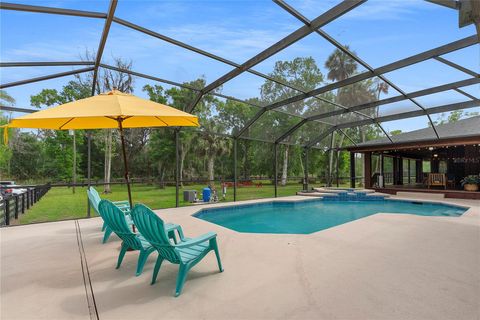 Tiny photo for 13910 Corkwood Lane, Astatula, FL 34705 (MLS # O6393542)