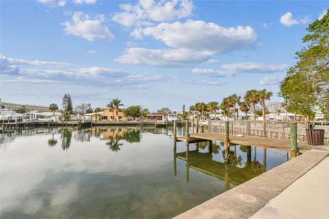 A home in ST PETE BEACH