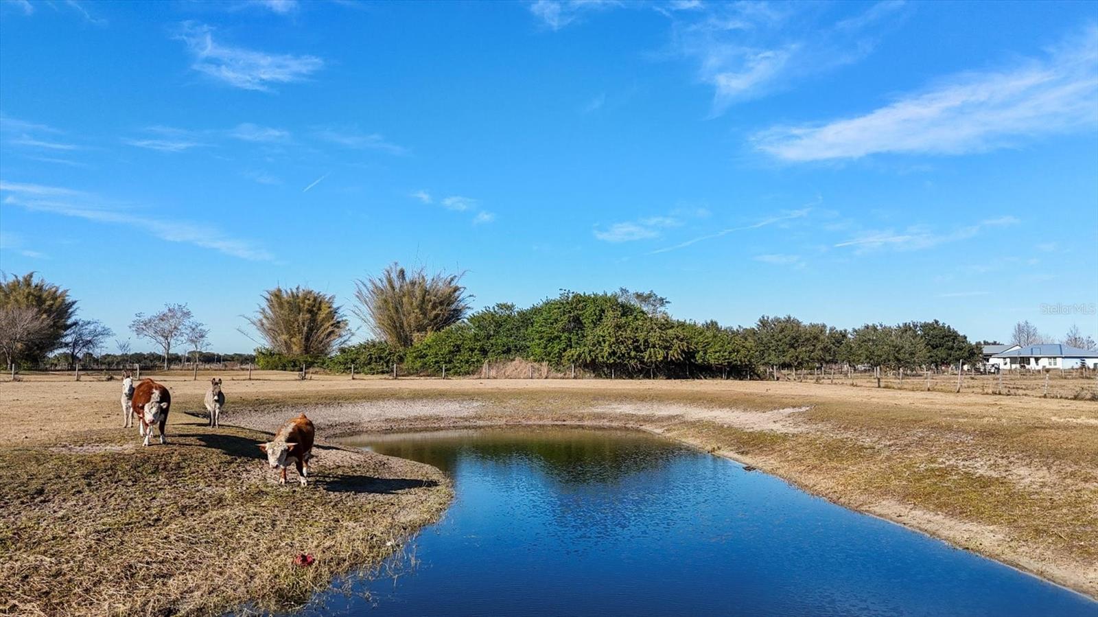 ACREAGE - Residential