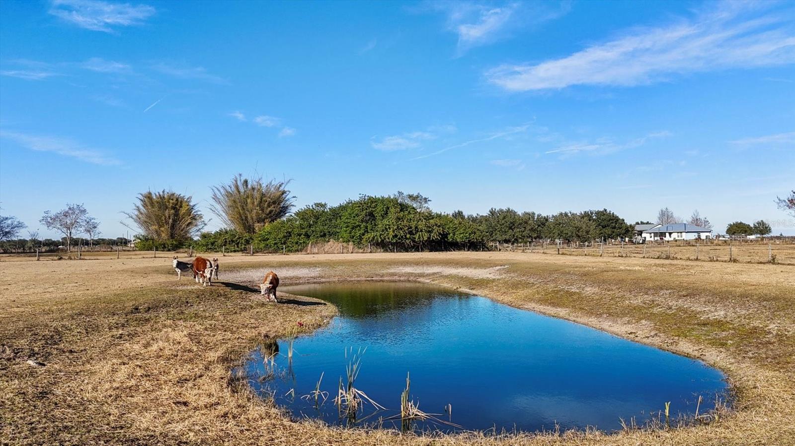 ACREAGE - Residential