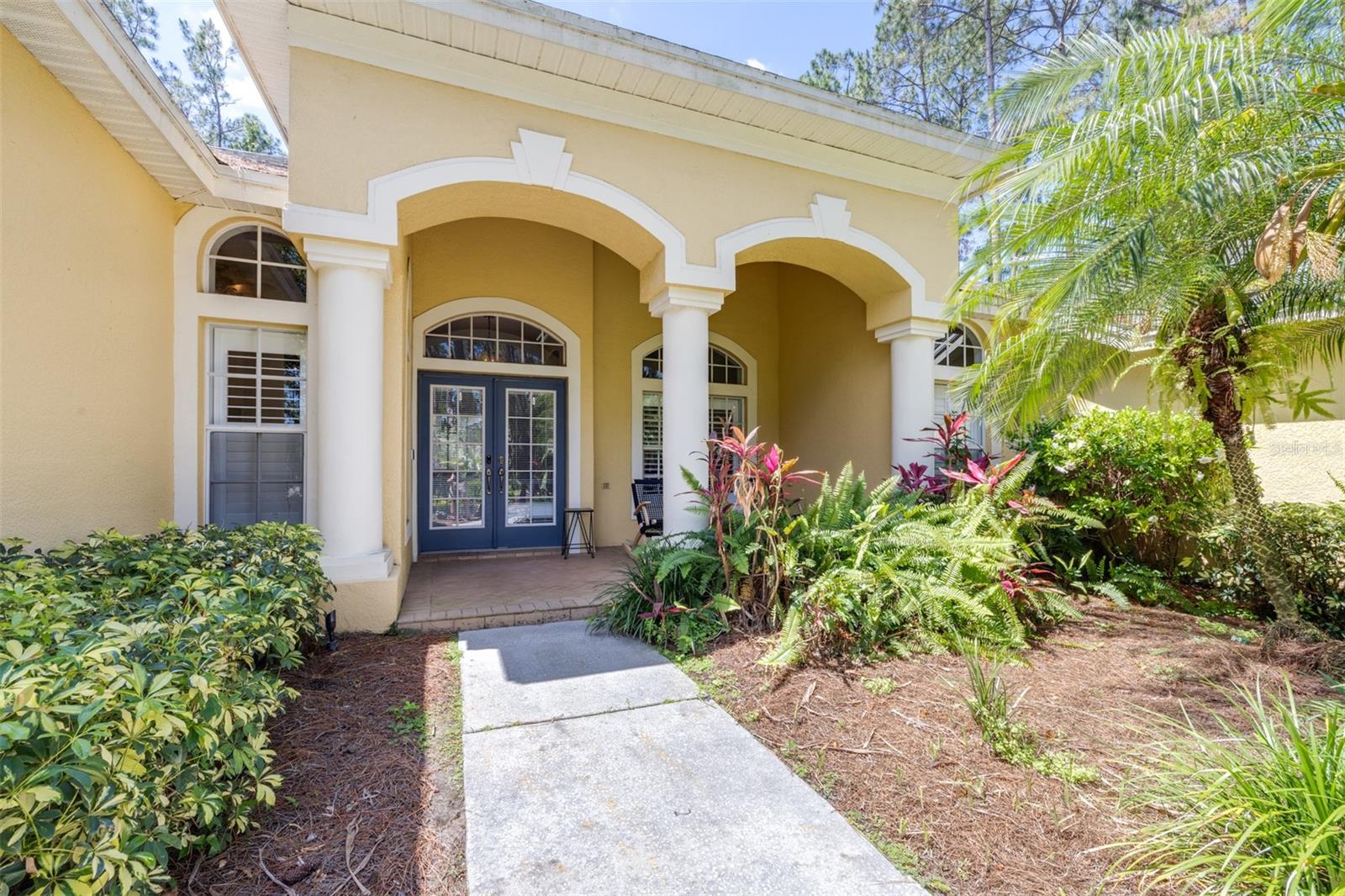 313 PINE BLUFF DRIVE