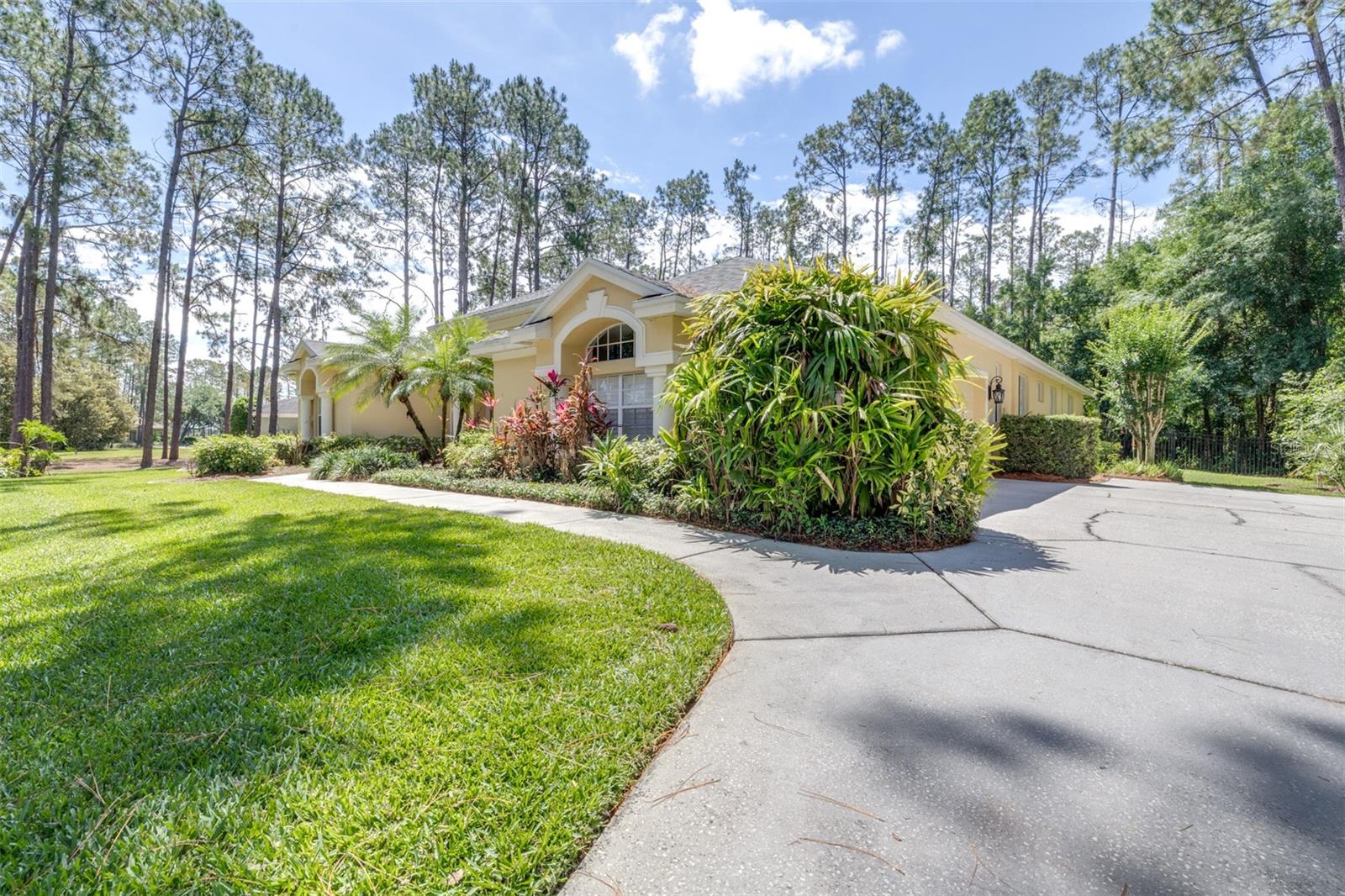 313 PINE BLUFF DRIVE