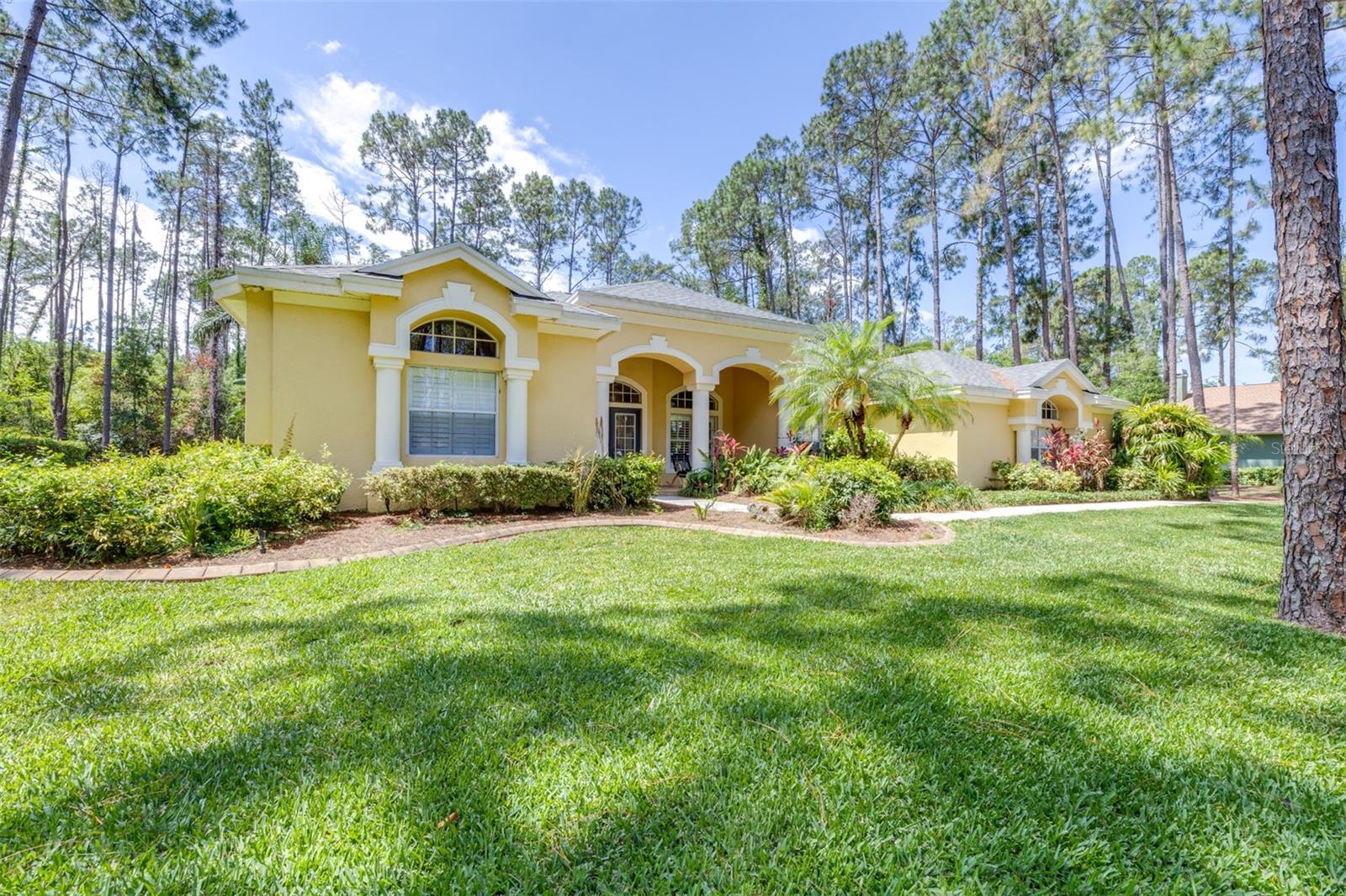 313 PINE BLUFF DRIVE