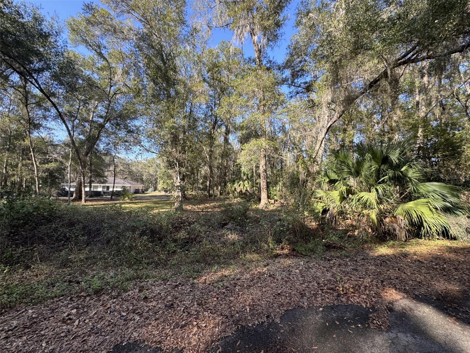 SILVER SPRINGS SHORES EAST - Land