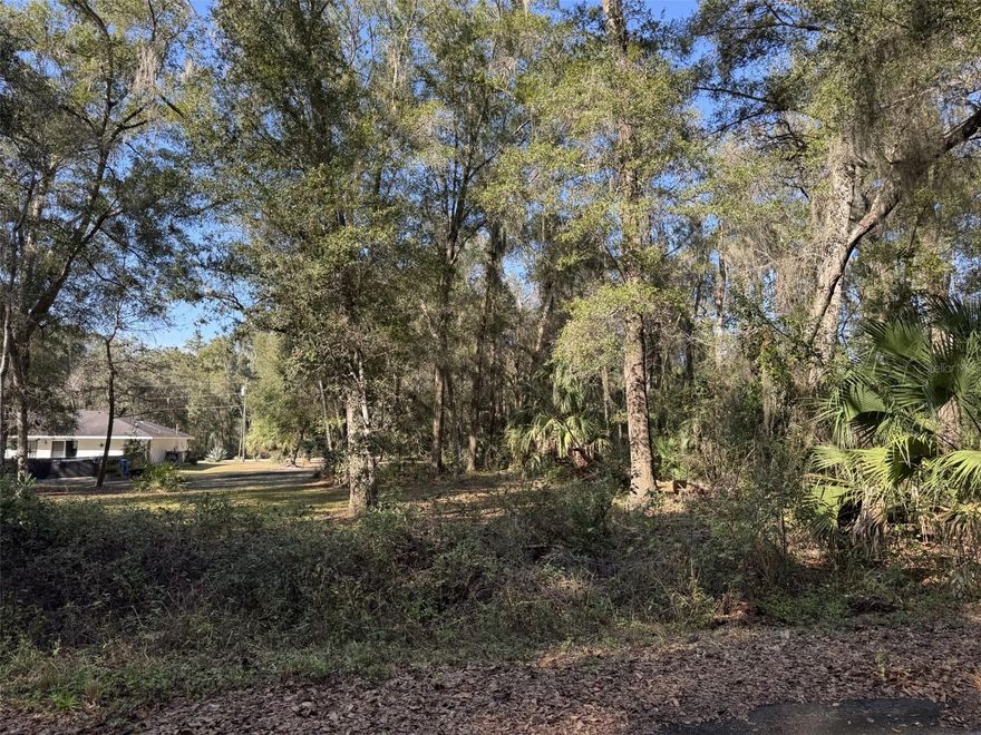 VACANT .26 ACRE LOT NEAR THE OCALA NATIONAL FOREST! Paved roads, electric close by and minutes to the Ocklawaha River & Lake Weir.. Private location with short drives to Ocala, Belleview, & The Villages.. BUILD HERE!