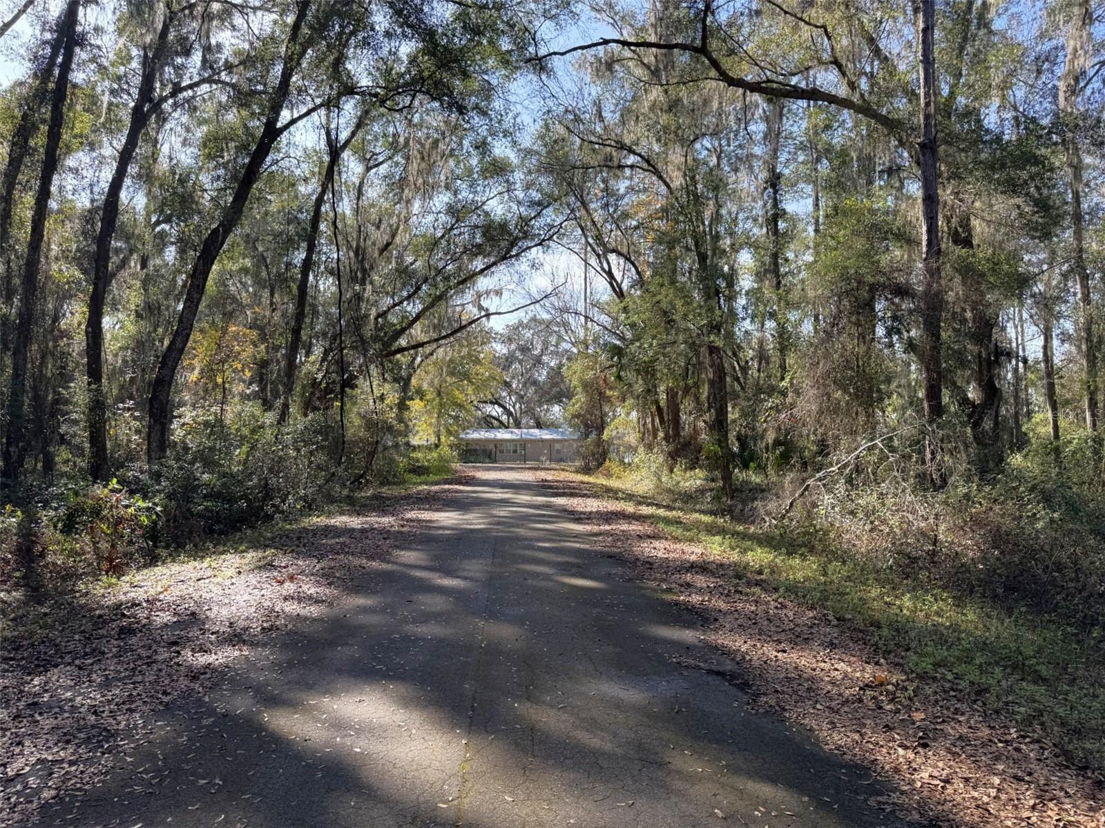 SILVER SPRINGS SHORES EAST - Land