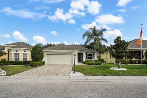 A home in SUN CITY CENTER