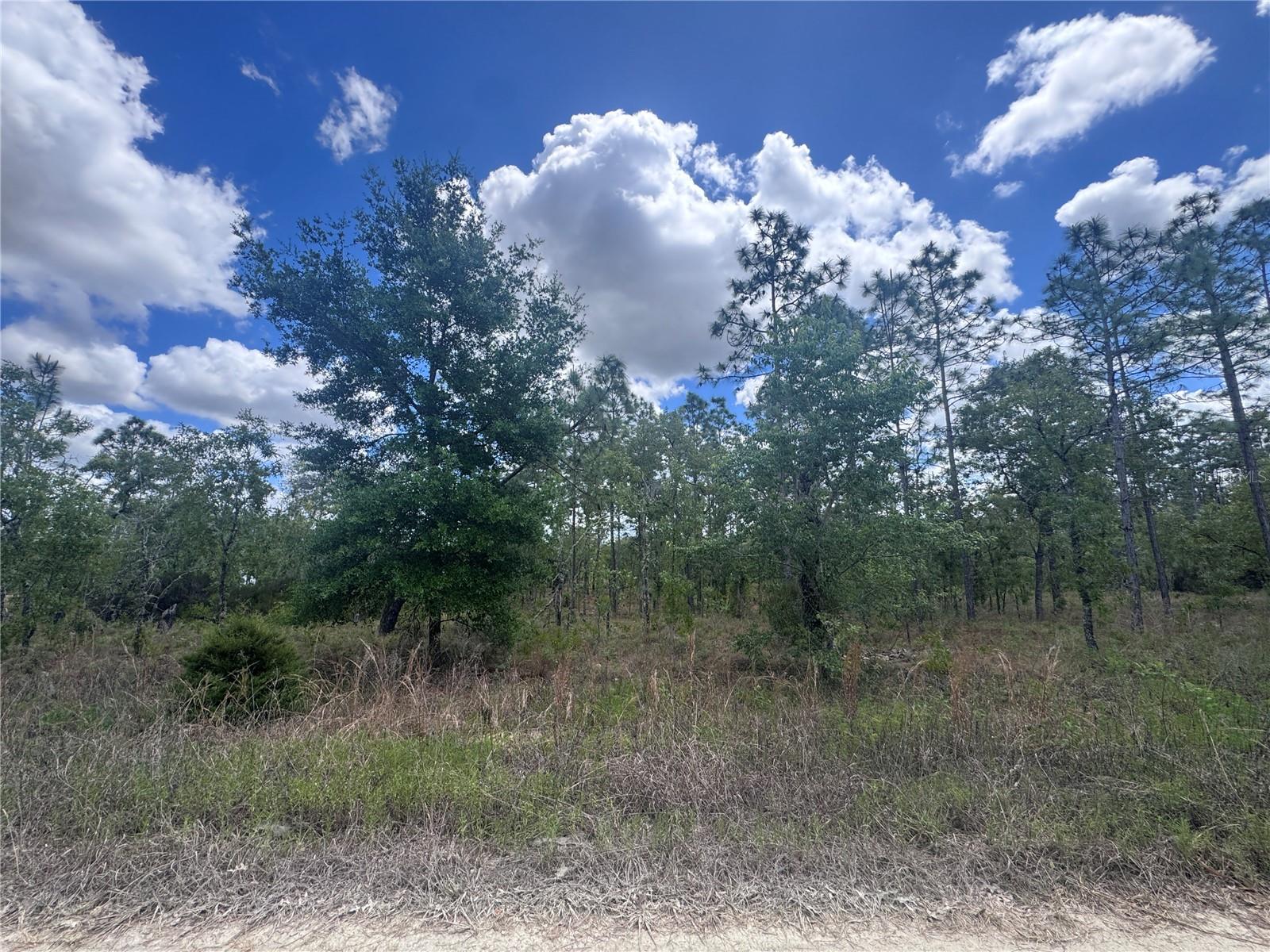 WILLISTON HYLNDS GOLF & C CLUB ESTATE - Land