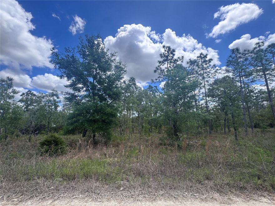 WILLISTON HIGHLANDS GOLF & COUNTRY CLUB ESTATES 0.23 ACRE BUILDING LOT: Almost 1/4 acre vacant lot located in the desirable Williston Highlands Golf & Country Club community. Great opportunity to build your dream home in a peaceful, growing with no HOA, no flood zone and no time limits to build.