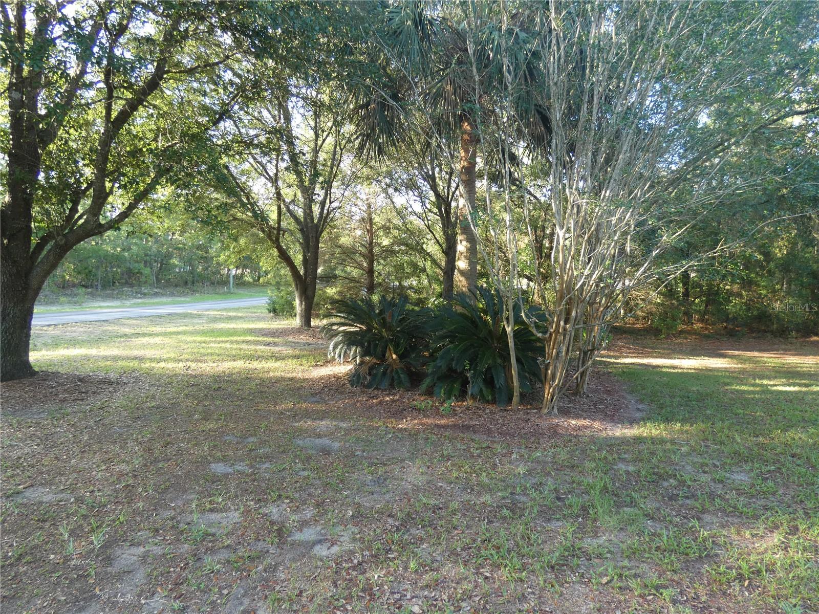 4622 N PINK POPPY DRIVE