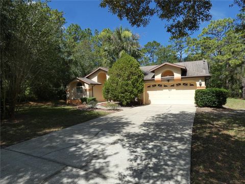 4622 N PINK POPPY DRIVE BEVERLY HILLS FL 34465