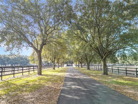 Tiny photo for 21051 SE 42nd Street, Morriston, FL 32668 (MLS # OM717505)