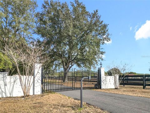 Tiny photo for 21051 SE 42nd Street, Morriston, FL 32668 (MLS # OM717505)