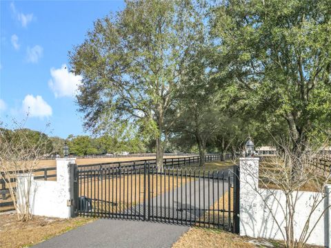 Tiny photo for 21051 SE 42nd Street, Morriston, FL 32668 (MLS # OM717505)