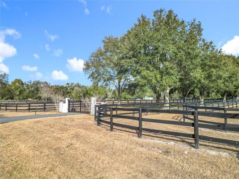 Tiny photo for 21051 SE 42nd Street, Morriston, FL 32668 (MLS # OM717505)