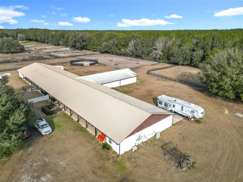 Tiny photo for 21051 SE 42nd Street, Morriston, FL 32668 (MLS # OM717505)