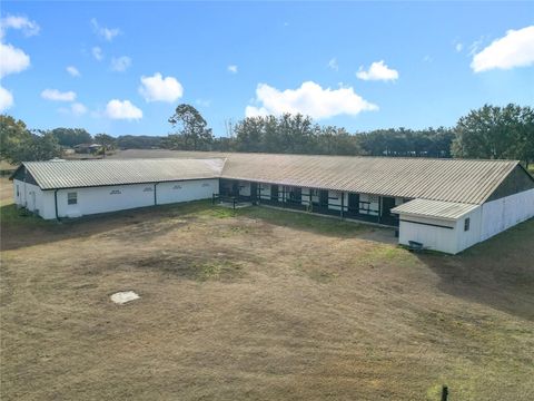 Tiny photo for 21051 SE 42nd Street, Morriston, FL 32668 (MLS # OM717505)