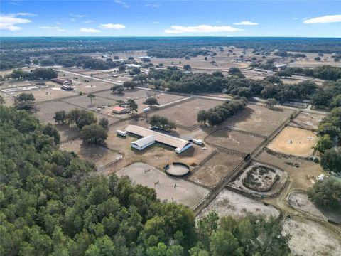 Tiny photo for 21051 SE 42nd Street, Morriston, FL 32668 (MLS # OM717505)