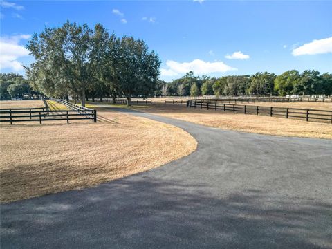 Tiny photo for 21051 SE 42nd Street, Morriston, FL 32668 (MLS # OM717505)