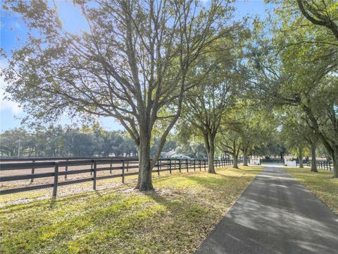 Tiny photo for 21051 SE 42nd Street, Morriston, FL 32668 (MLS # OM717505)