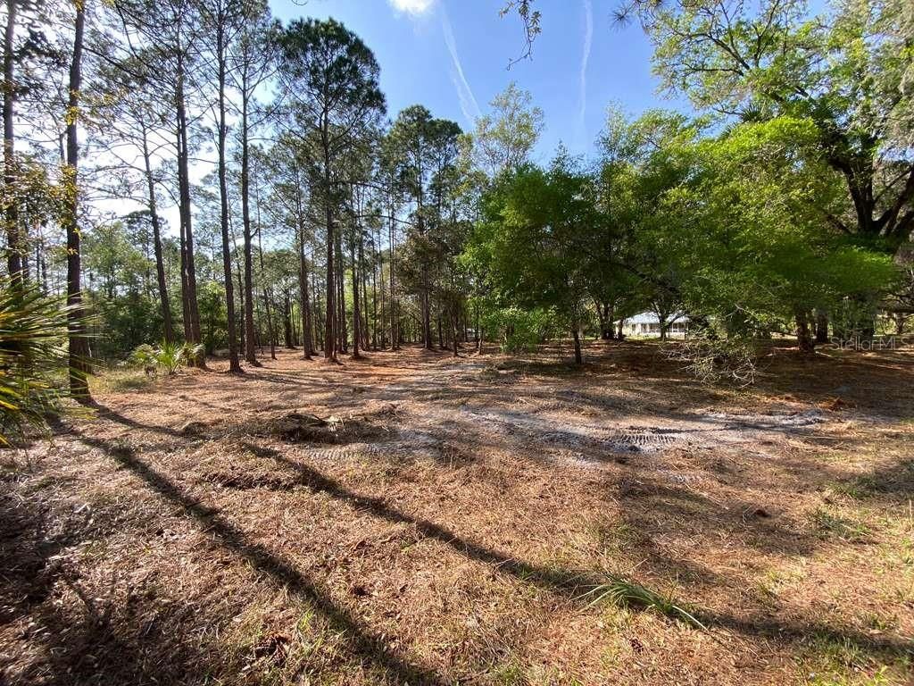 Photo of 7756 N Shillelagh Avenue, Crystal River, FL 34428 (MLS # O6391017)