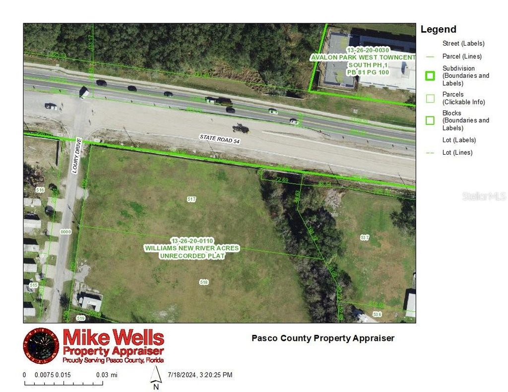 Photo of 4240 Loury Drive, Wesley Chapel, FL 33543 (MLS # T3542412)
