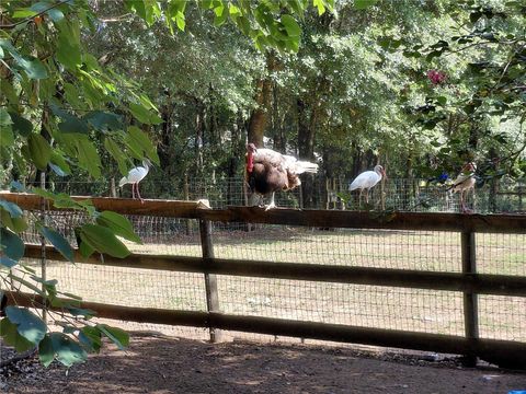 Tiny photo for 33 Pine Trace Course, Ocala, FL 34472 (MLS # OM704512)