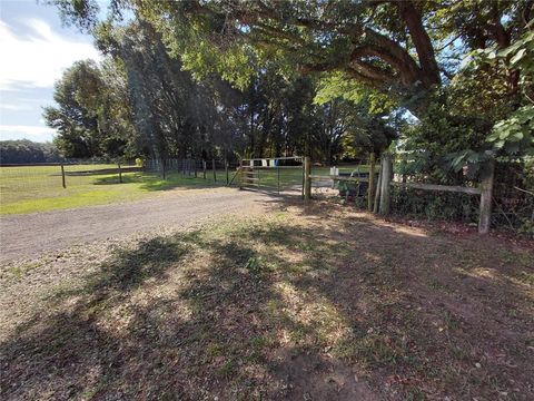 Tiny photo for 33 Pine Trace Course, Ocala, FL 34472 (MLS # OM704512)