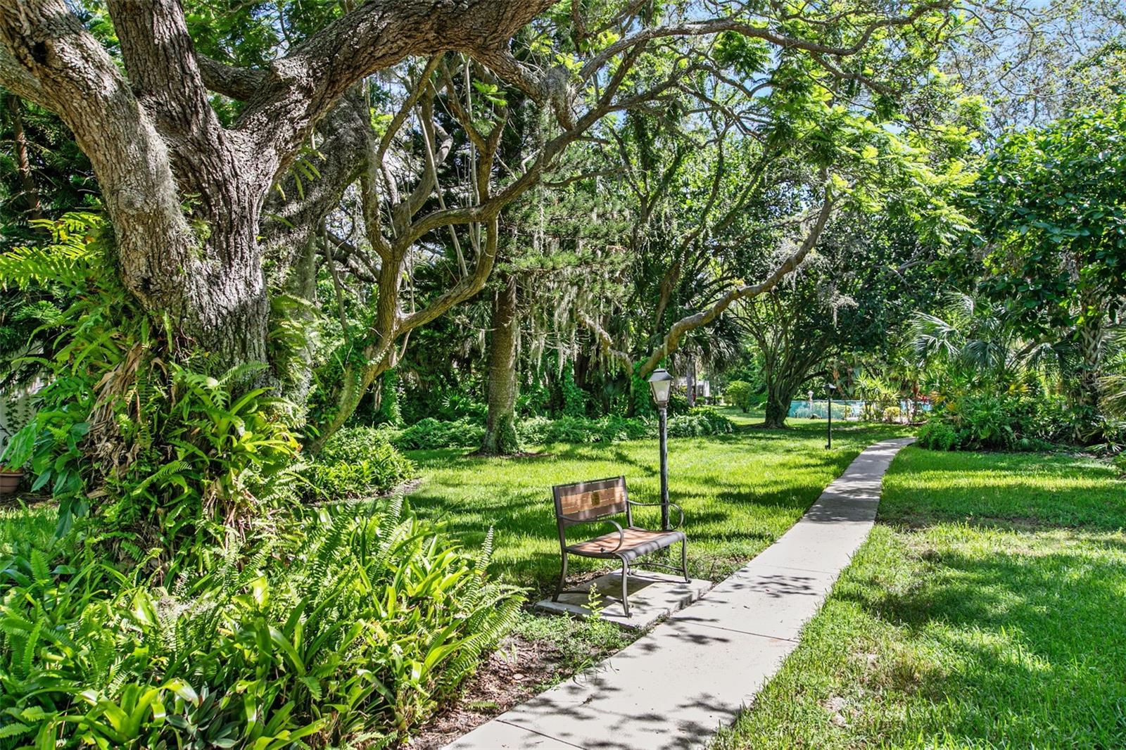 WILDEWOOD SPGS STAGE 6A OF WOODLAWN - Residential