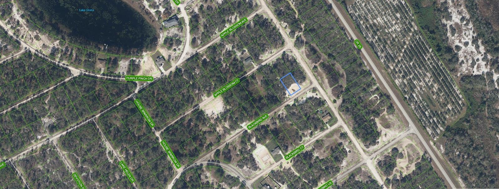 Lake Placid Investment Lot - Lowest on the Market!