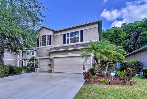 A home in PALM HARBOR