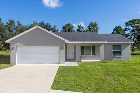 Photo of 297 Malauka Run, Ocklawaha, FL 32179 (MLS # G5101210) Photo of 297 Malauka Run, Ocklawaha, FL 32179 (MLS # G5101210)