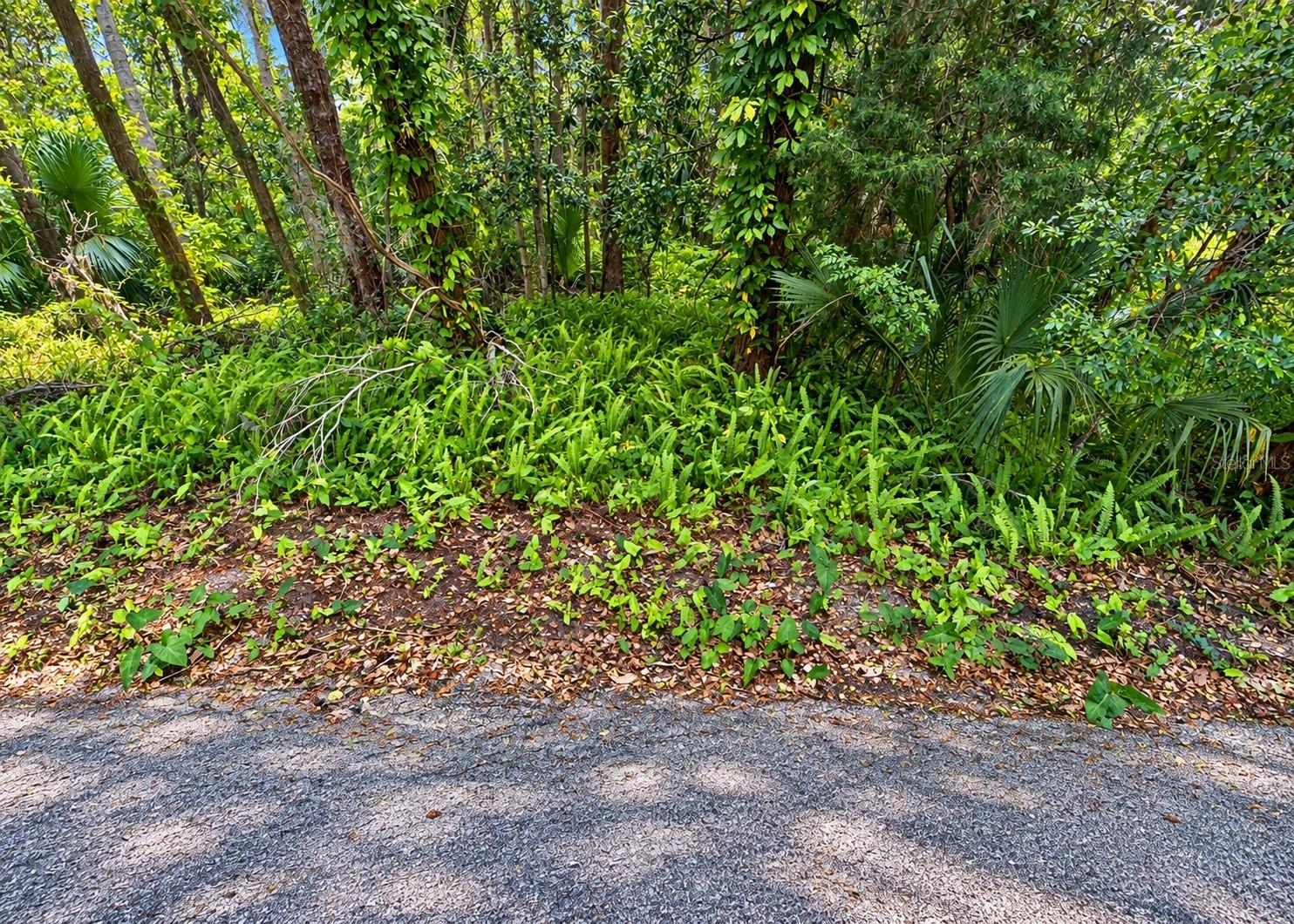 0 OLIVE STREET