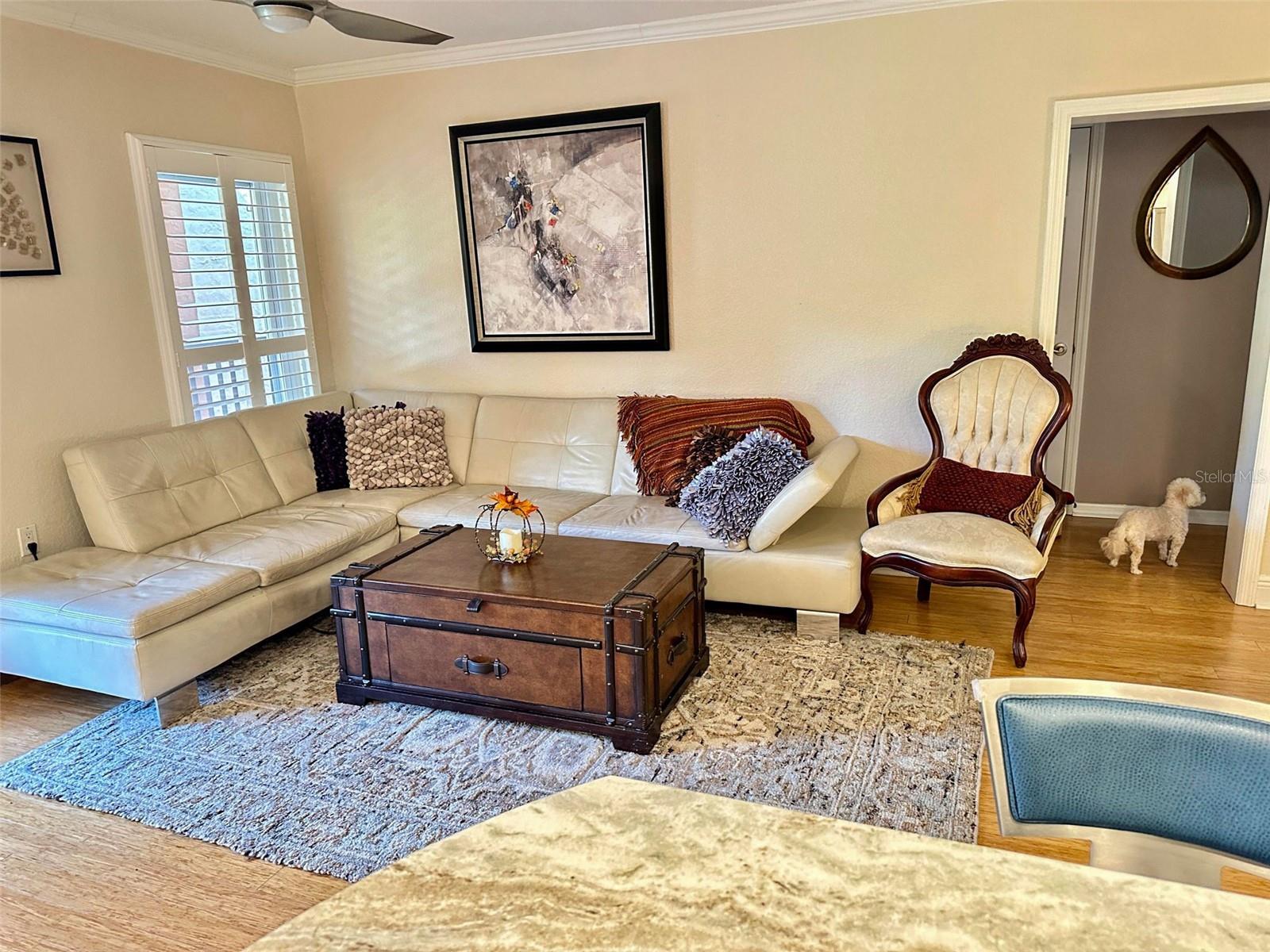 BOCA SHORES CONDO - Residential