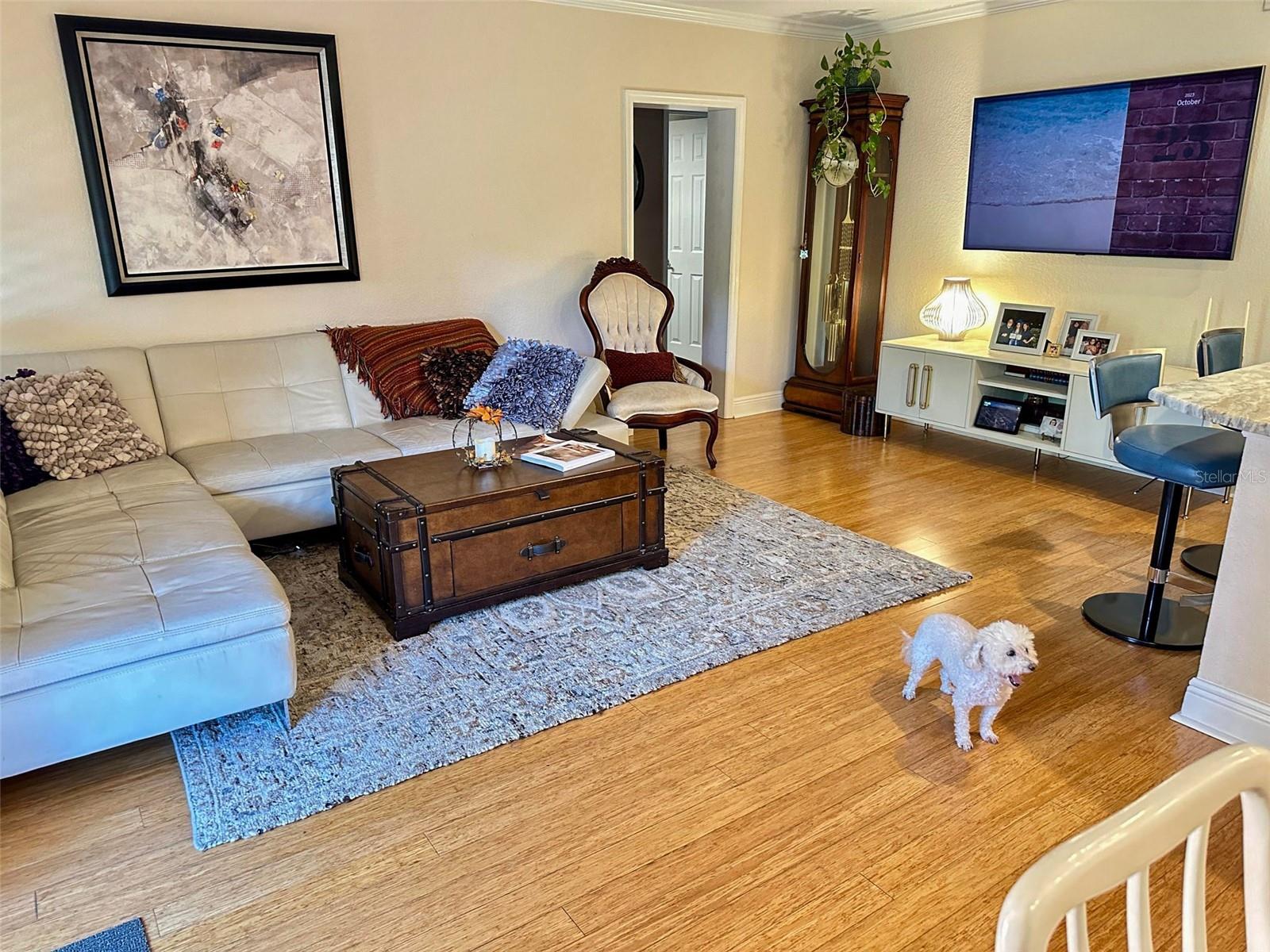 BOCA SHORES CONDO - Residential