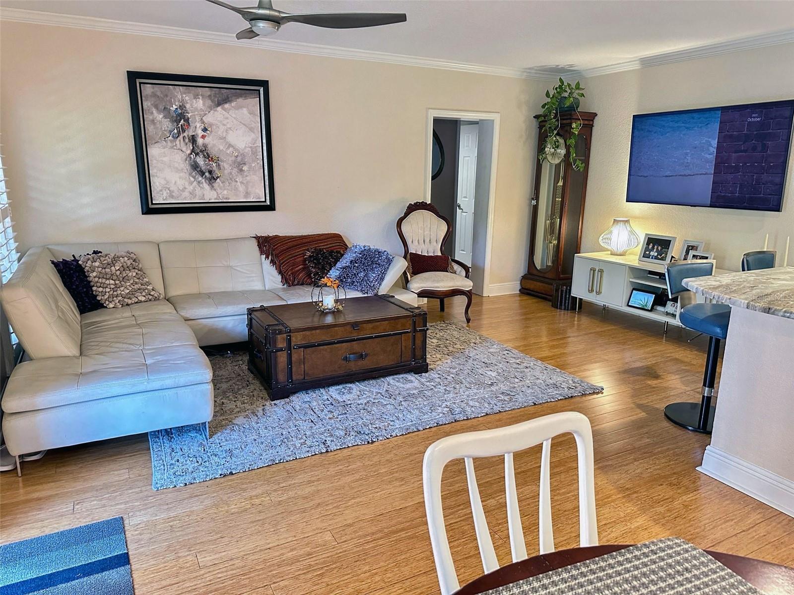 BOCA SHORES CONDO - Residential