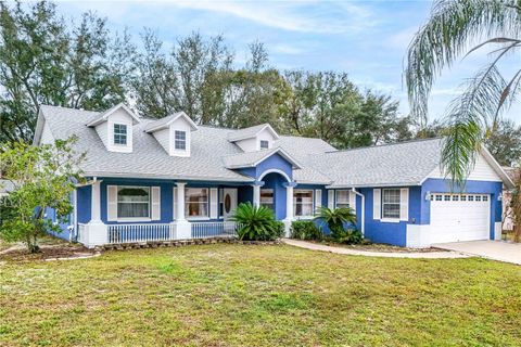 A home in EUSTIS