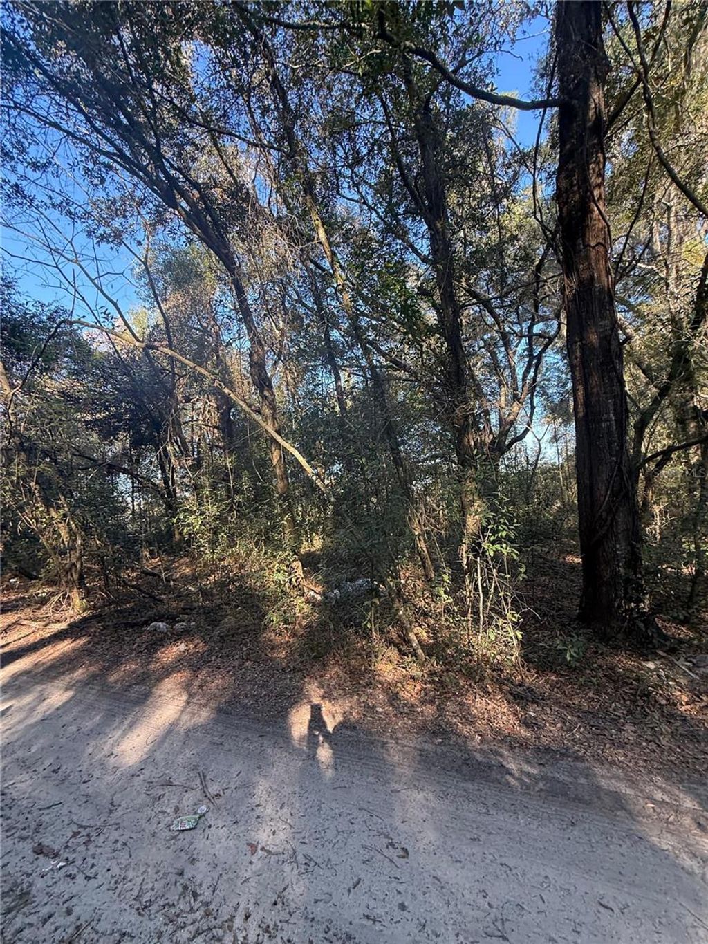 Photo of 148 32 Nd Place, Ocala, FL 34481 (MLS # OM714157)