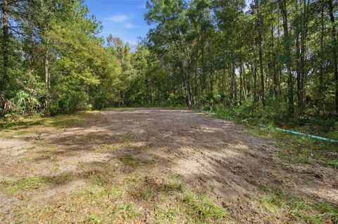 Tiny photo for 21133 NW 75th Avenue, Micanopy, FL 32667 (MLS # OM712767)