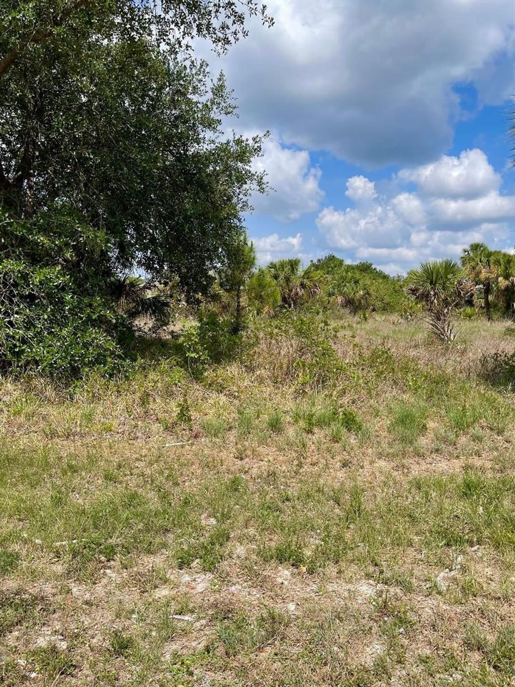 Photo of 413 Celeste Street, Port Charlotte, FL 33954 (MLS # C7510291)