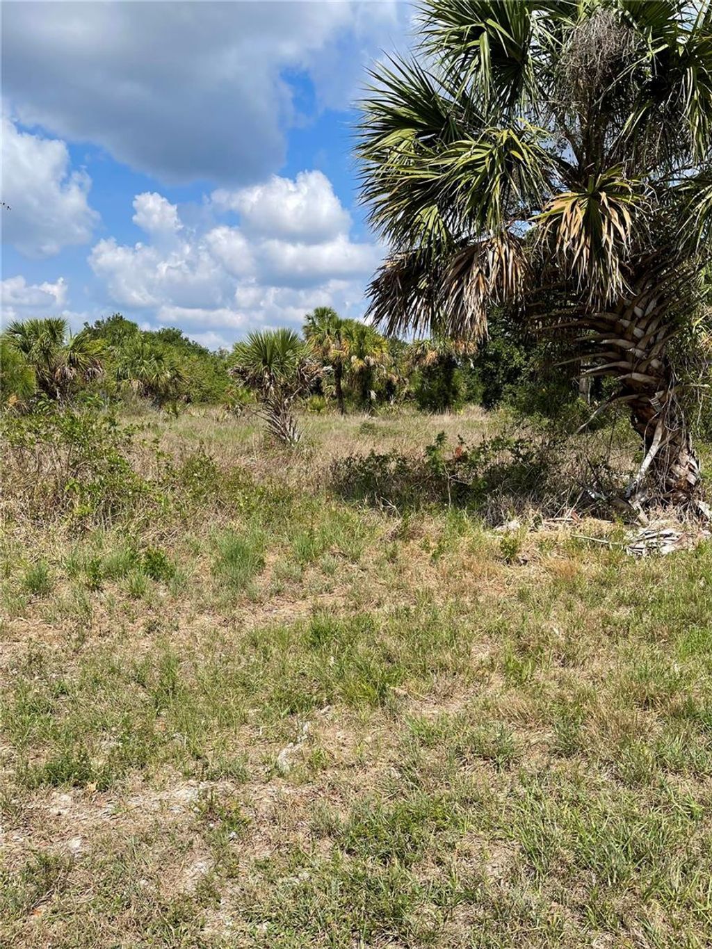 Photo of 413 Celeste Street, Port Charlotte, FL 33954 (MLS # C7510291)