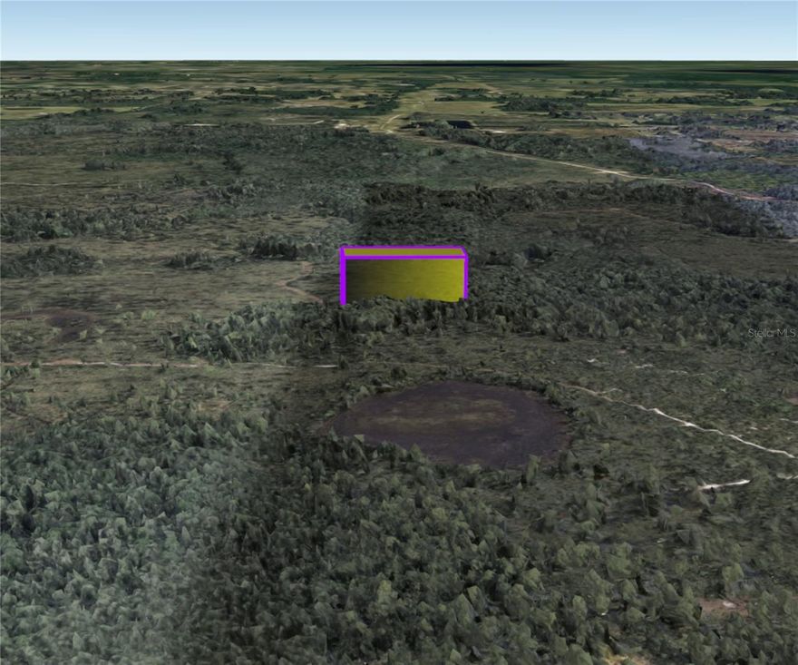 This Parcel is 1.26 acres / 54,670 Sq Ft. Per County Records for this Great Price! Unimproved Land Zoned A-2 for Future Development. Great Investment Opportunity Awaits. Could Be used to Enjoy Florida Wildlife, Peaceful Nature Walks, Camping or Hunting. New Owner can work with the County to start improvements/development to the area. This lot is close to Dill Road itself. Bring your offers and secure this large tract of land Today! ** Attractive Seller Finance Offers** Owner has more than one parcel for a Package Deal!