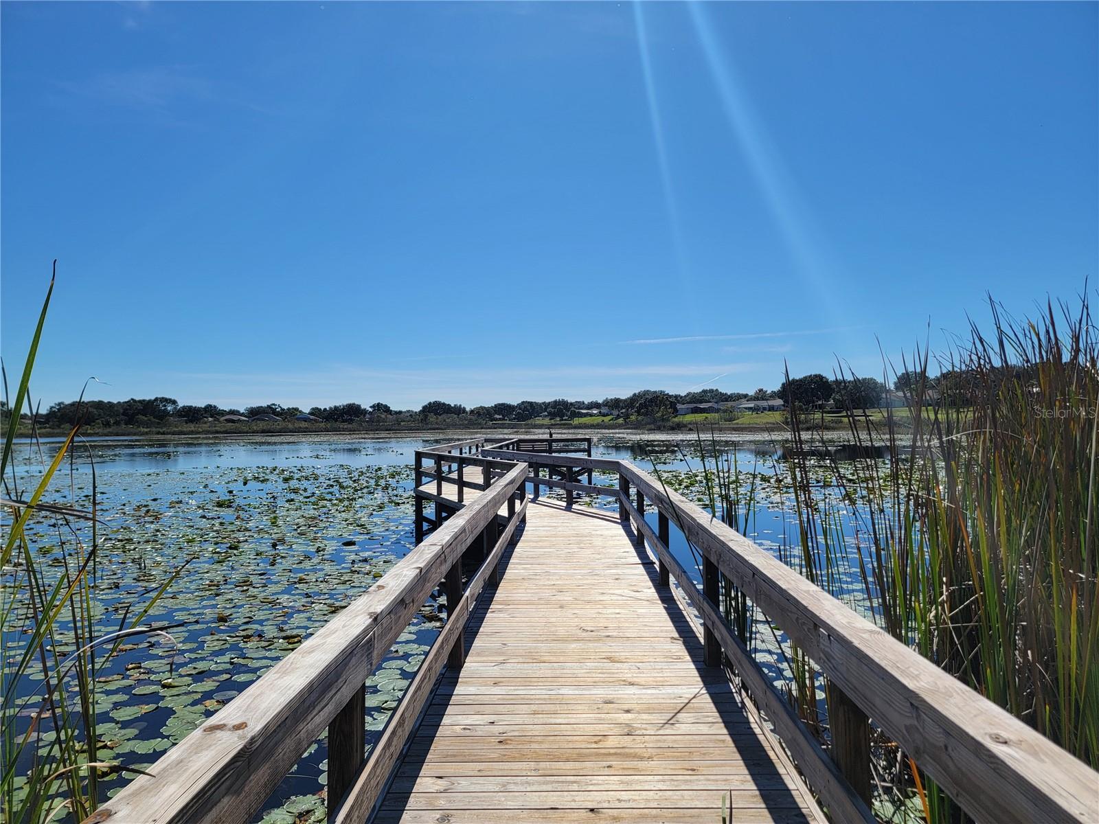 PLANTATION AT LEESBURG - Residential