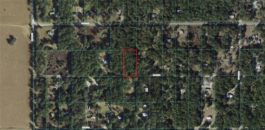 Paved road is just one block North on SW 155th! NOT in the flood zone (X). MOBILE HOMES and ANIMALS OK, Zoned A-1 agriculture. Several houses nearby.GPS Coordinates to center of property: 28.995496, -82.298693. Enter coordinates into google or apple maps for directions. Parcel# 4088-296-000. Peaceful, yet near town. Custom build your own home or place your manufactured home here. 1.25 acres perfect for your dream home or mini farm in Florida Highlands subdivision. Nearby to Rainbow Springs State Park, Walmart, shopping and restaurants. Seller has several properties in other neighborhoods in Dunnellon/Ocala. Seller has many similar properties available.