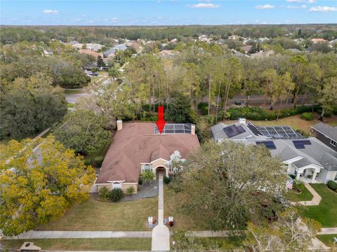 A home in PALM HARBOR