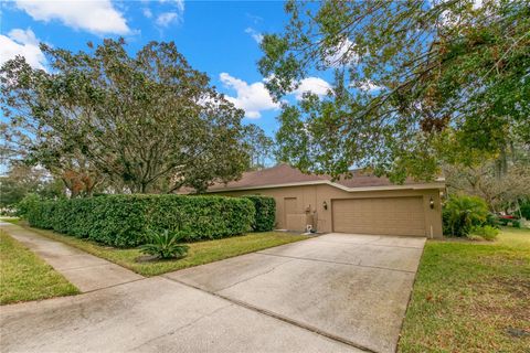 A home in PALM HARBOR