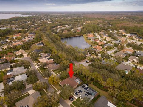 A home in PALM HARBOR