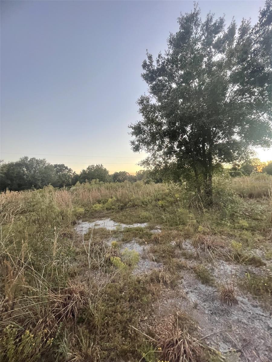 SOUTHERN COLONIZATION CO - Land