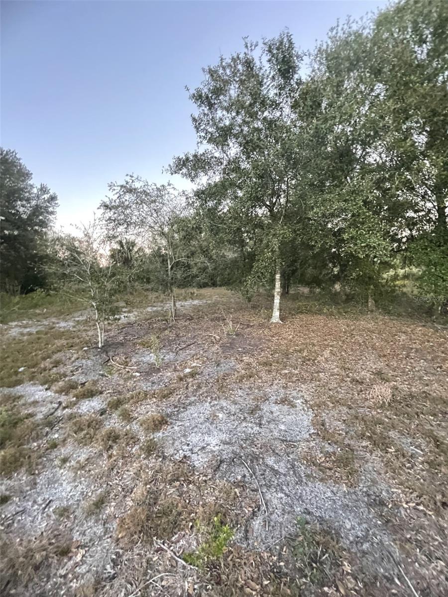 SOUTHERN COLONIZATION CO - Land